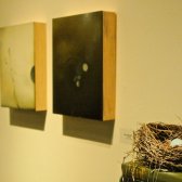 Luminous_Shadow_Nest