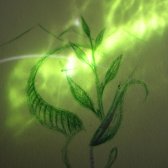 green_light_butterfly_2