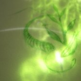 green_light_butterfly