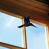 the_bird_in_warm_morning_sun