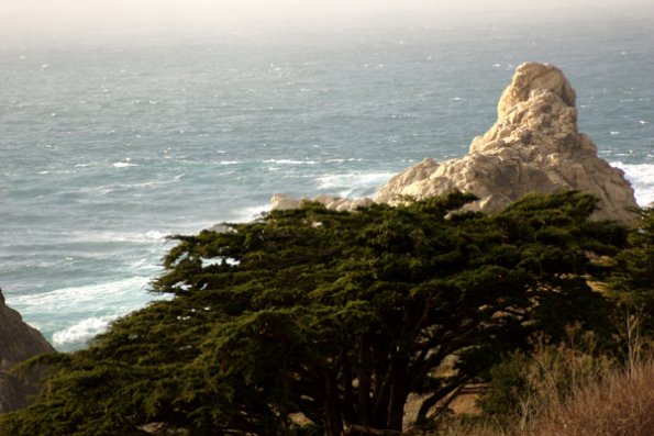 big_sur_rock_tower_and_trees