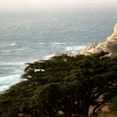 big_sur_rock_tower_and_trees