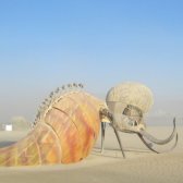 BurningMan_Desert_Bug