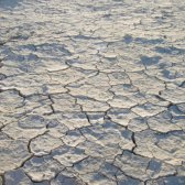 BurningMan_Playa