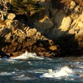 big_sur_tree_on_a_cliff_breaking_waves