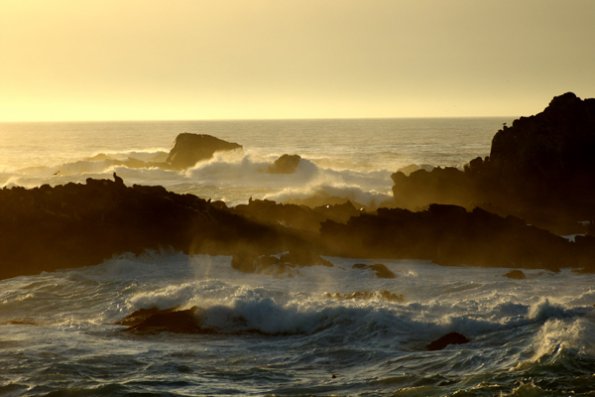 big_sur_seal_rocks_and_waves