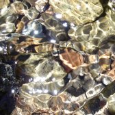 lake_tahoe_creek_ripples