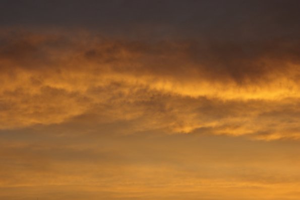 sunrise_berkeley_roof_flaming_sky