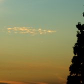 sunset_tree_splat_of_clouds