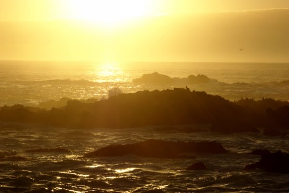 big_sur_flaming_sunset_waves_rocks_and_seals