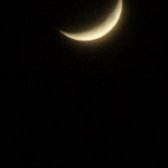 crescent_moon_and_venus
