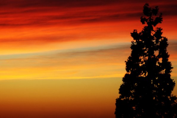 sunset_orange_red_silhouette