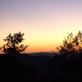 ojai_mountains_sunset_tree_silhouettes